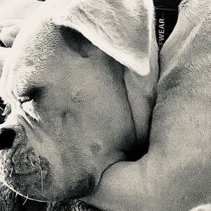 Meet your Posher, Pamela